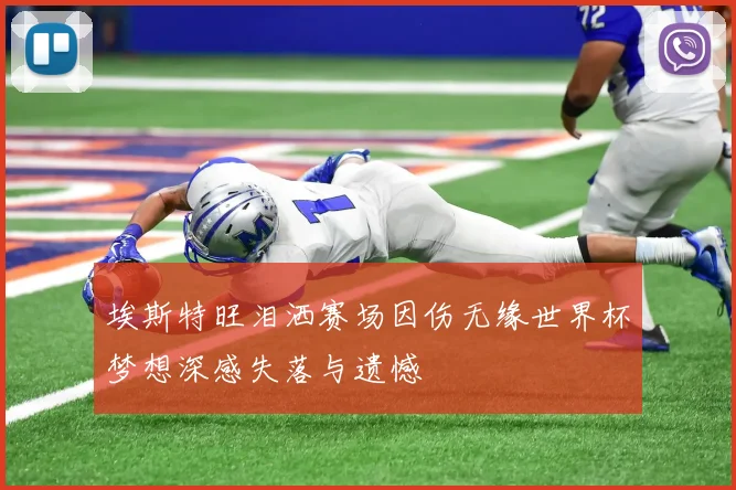 埃斯特旺泪洒赛场因伤无缘世界杯梦想深感失落与遗憾