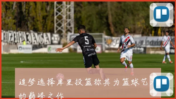 追梦选择库里投篮称其为篮球艺术的巅峰之作